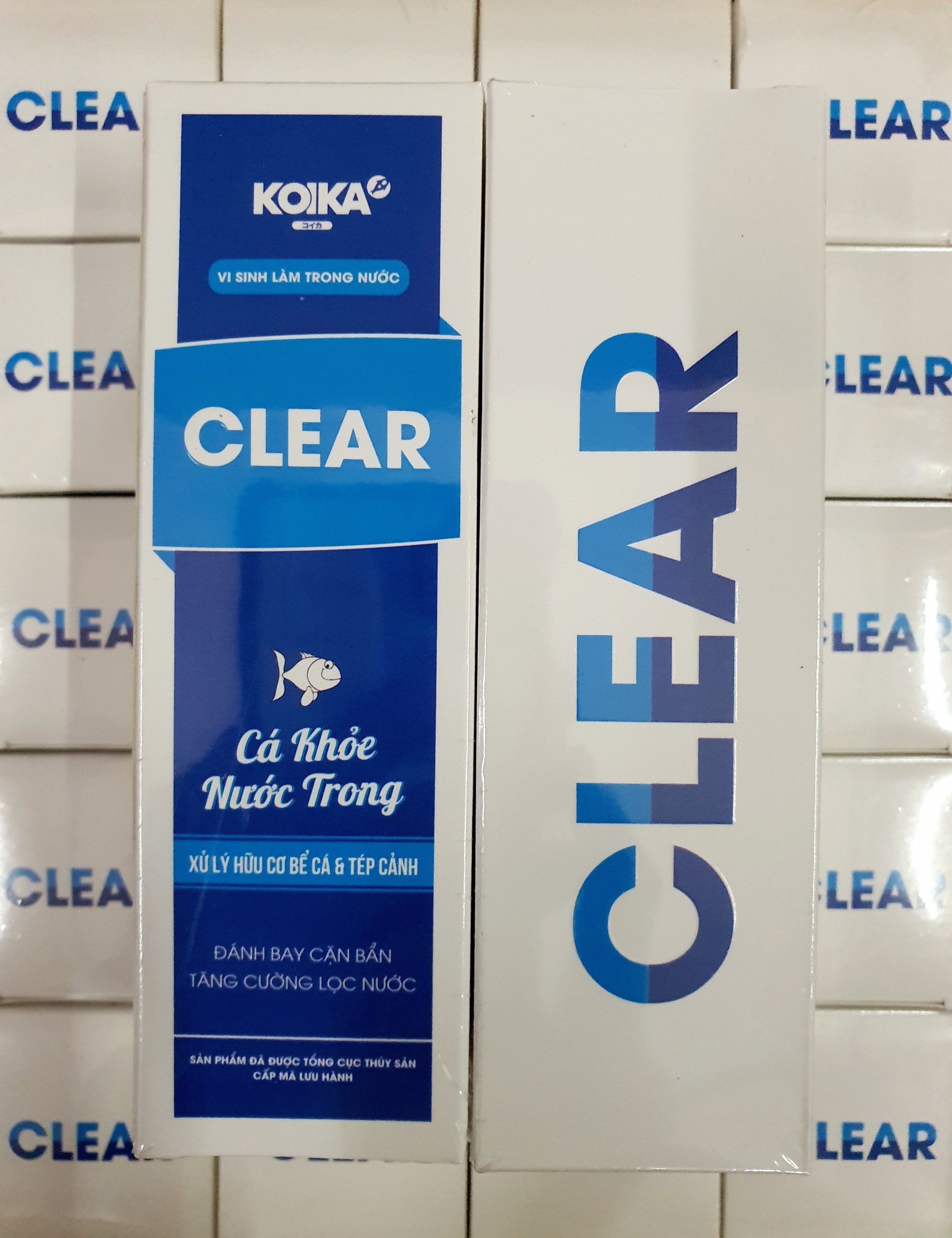 Vi sinh koika clear cho cá cảnh