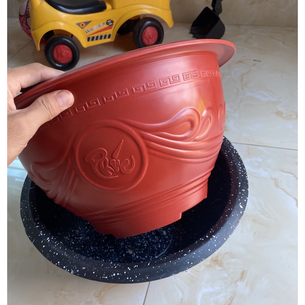 combo 3 chậu T68 trồng cây, trồng sen thả cá.