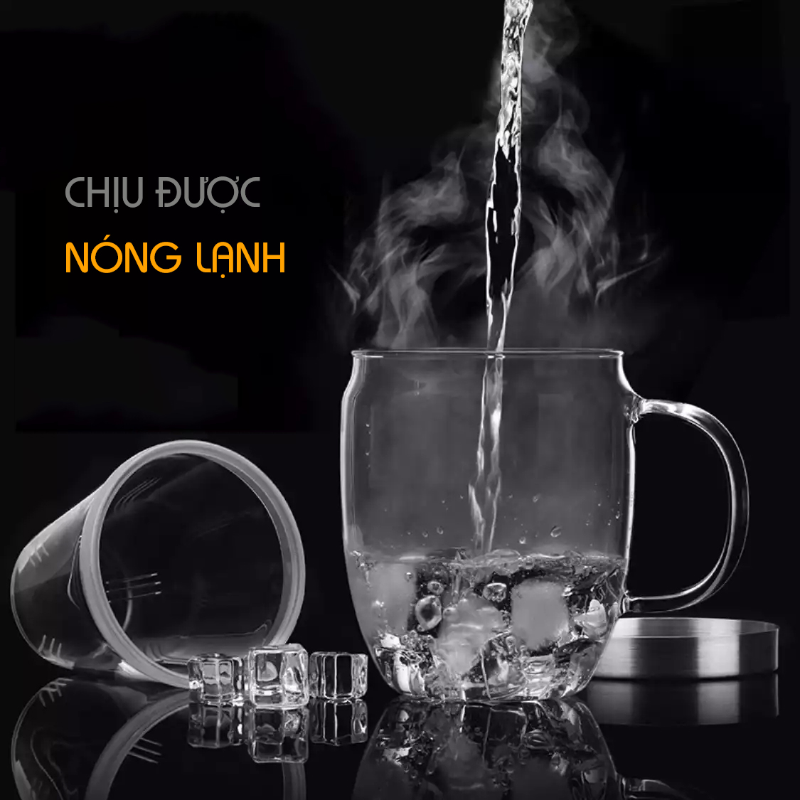 Ly lọc trà thủy tinh Samadoyo S011B 0.36L