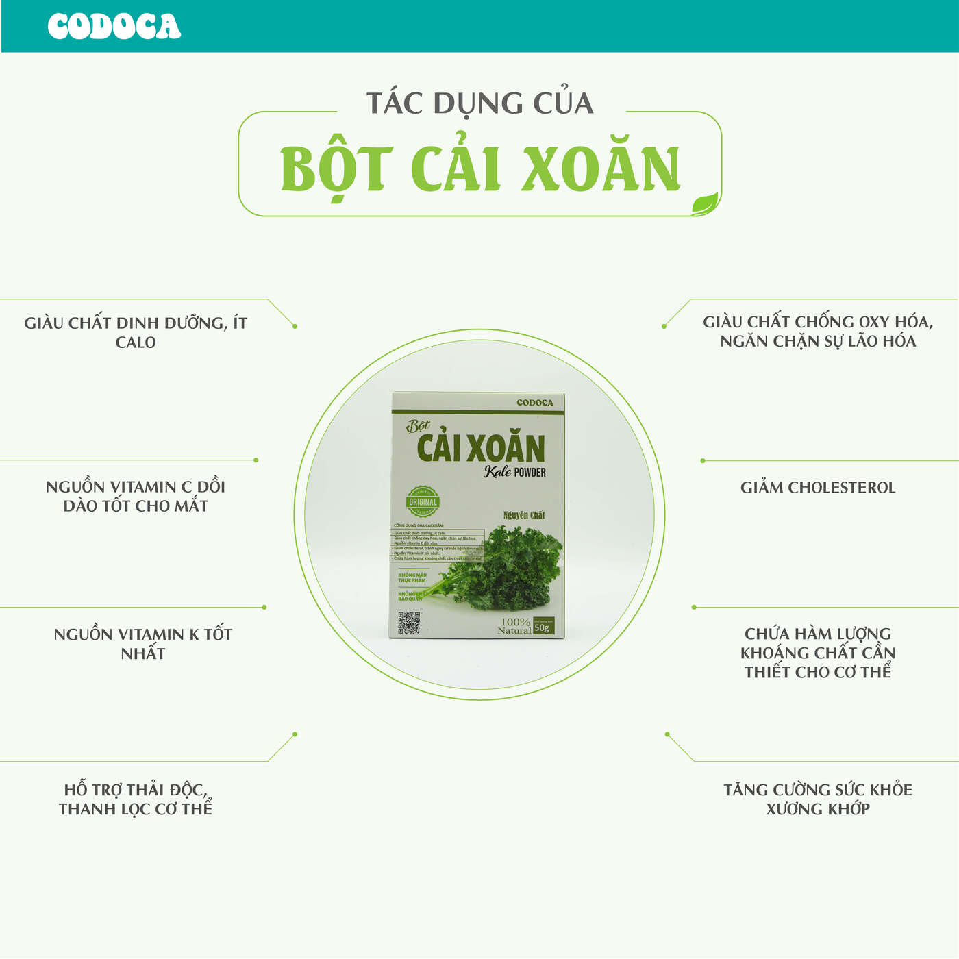 Bột Cải xoăn Codoca Nguyên chất sấy lạnh (50g)