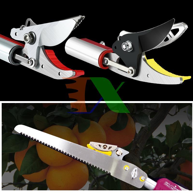 Tools fruit picking hq-3m, pickets picking fabric, pickets picking fruit label, Bird fruit picking, cutting fruit on high with clip holder (3m), together with the saw blade, pruning shears branch on high