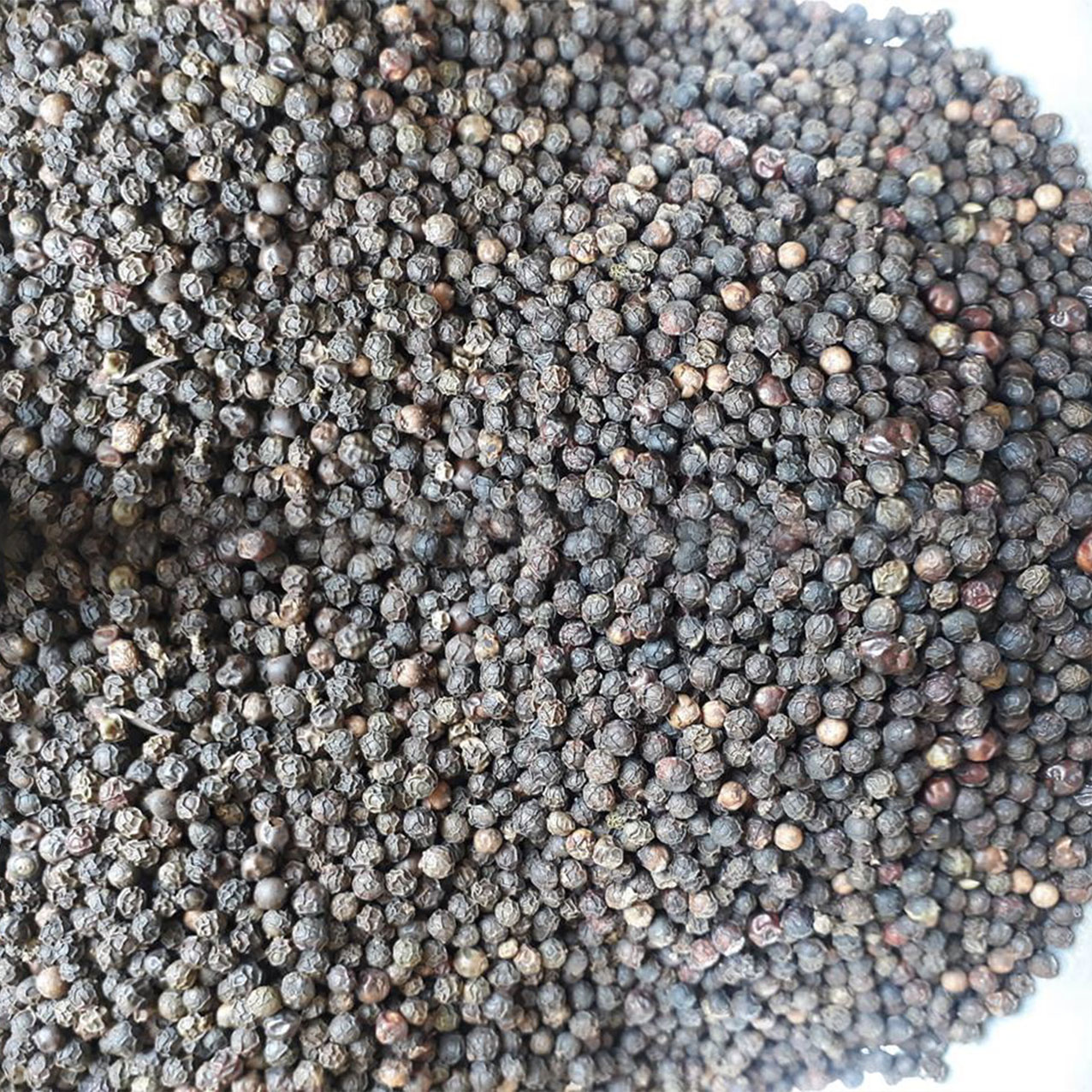Hạt tiêu đen GiaLai 500gram