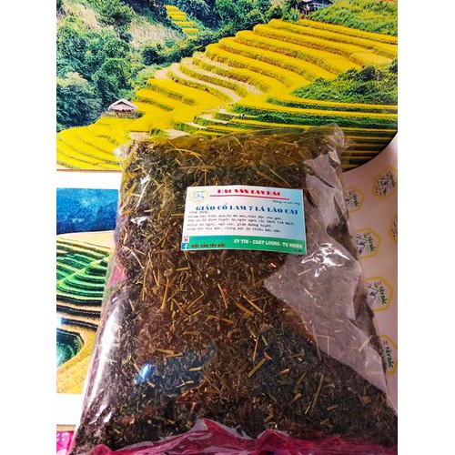Trà Giảo cổ lam Sa Pa (loại 7 lá sao khô) gói 500g dùng thử