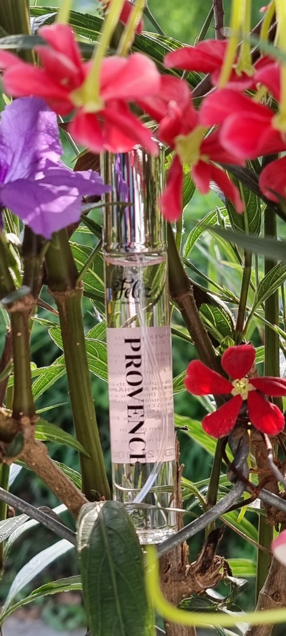 Nước hoa mini Feliz provence 20ml