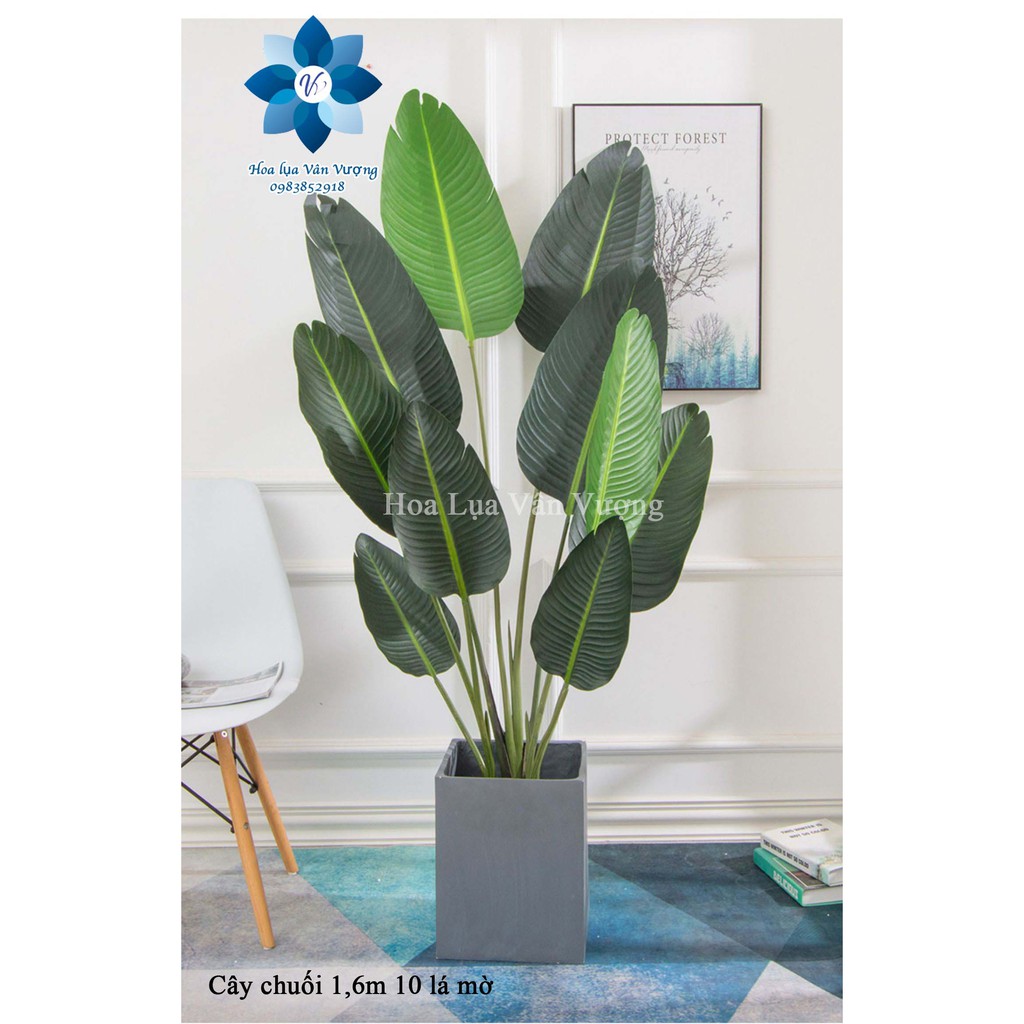 Cây Giả Cây Chuối Cảnh Lá Mờ