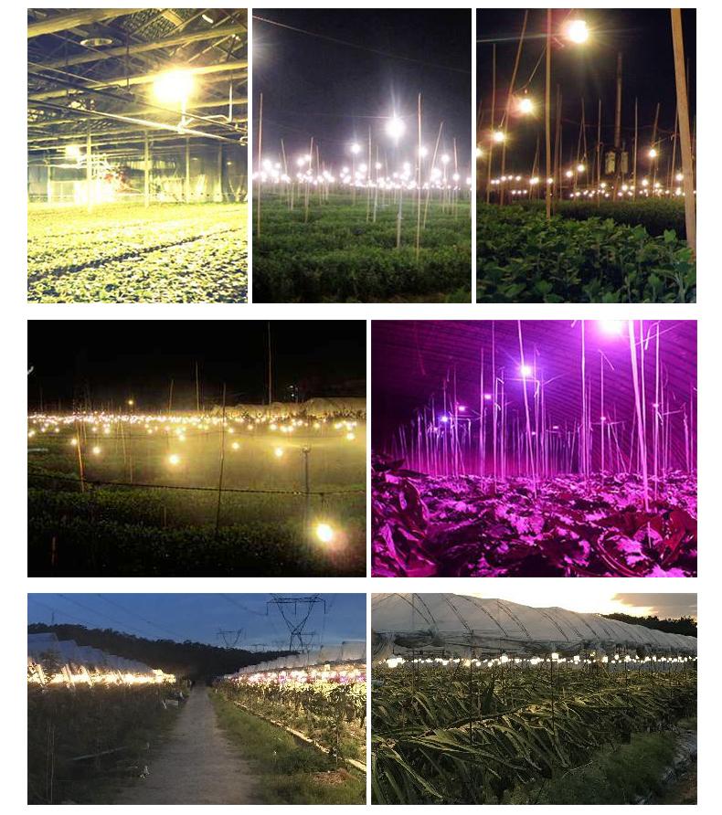 30W Led Light Bulb |   Led Bulb 30W E27