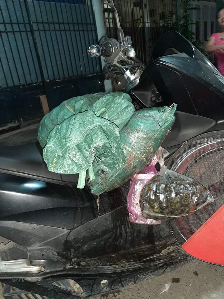 1KG MỒI RÔ PHI-MỒI CHUYÊN RÔ PHI-1KG/GÓI