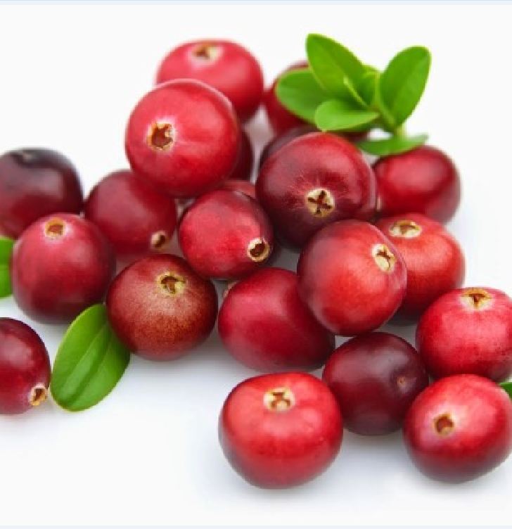 Hạt giống cây ăn trái việt quất đỏ ( gói 30 hạt )