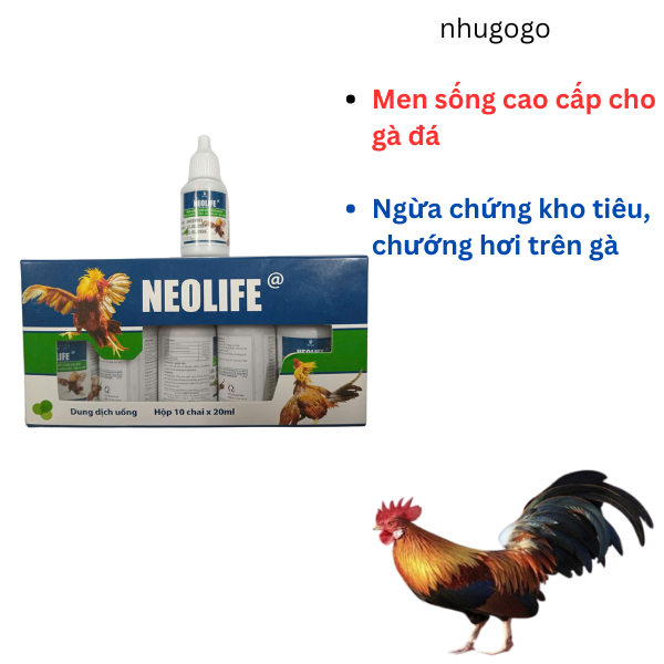 Neolife 20ml men sống cao cấp, hỗ trợ tiêu hóa cho gà