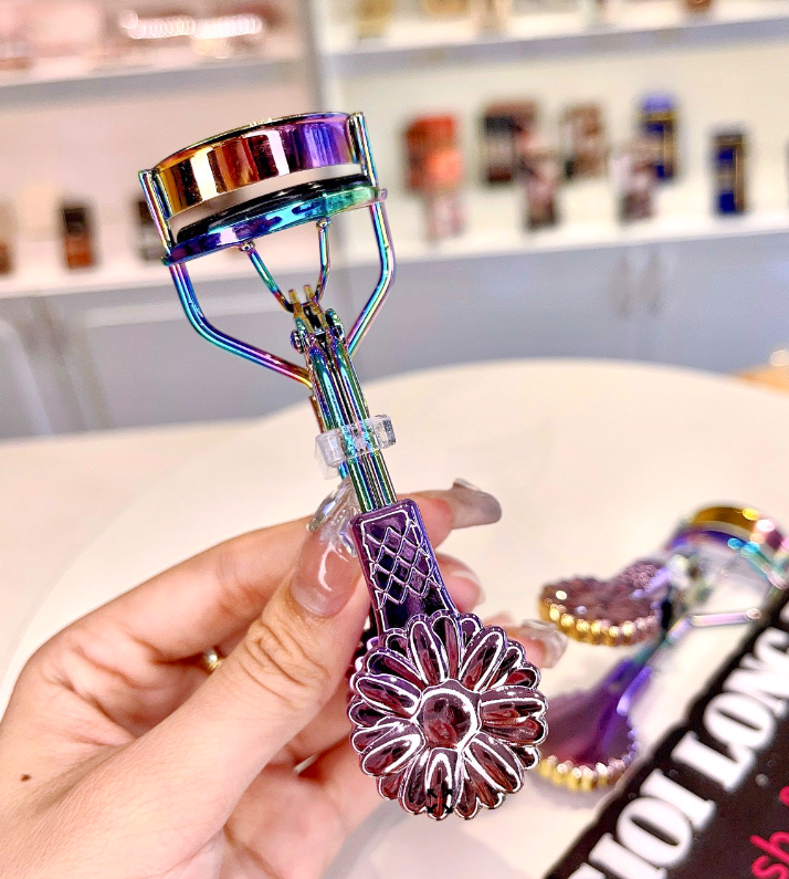 BẤM MI HOA CÚC TÍM PURPLE DAISY