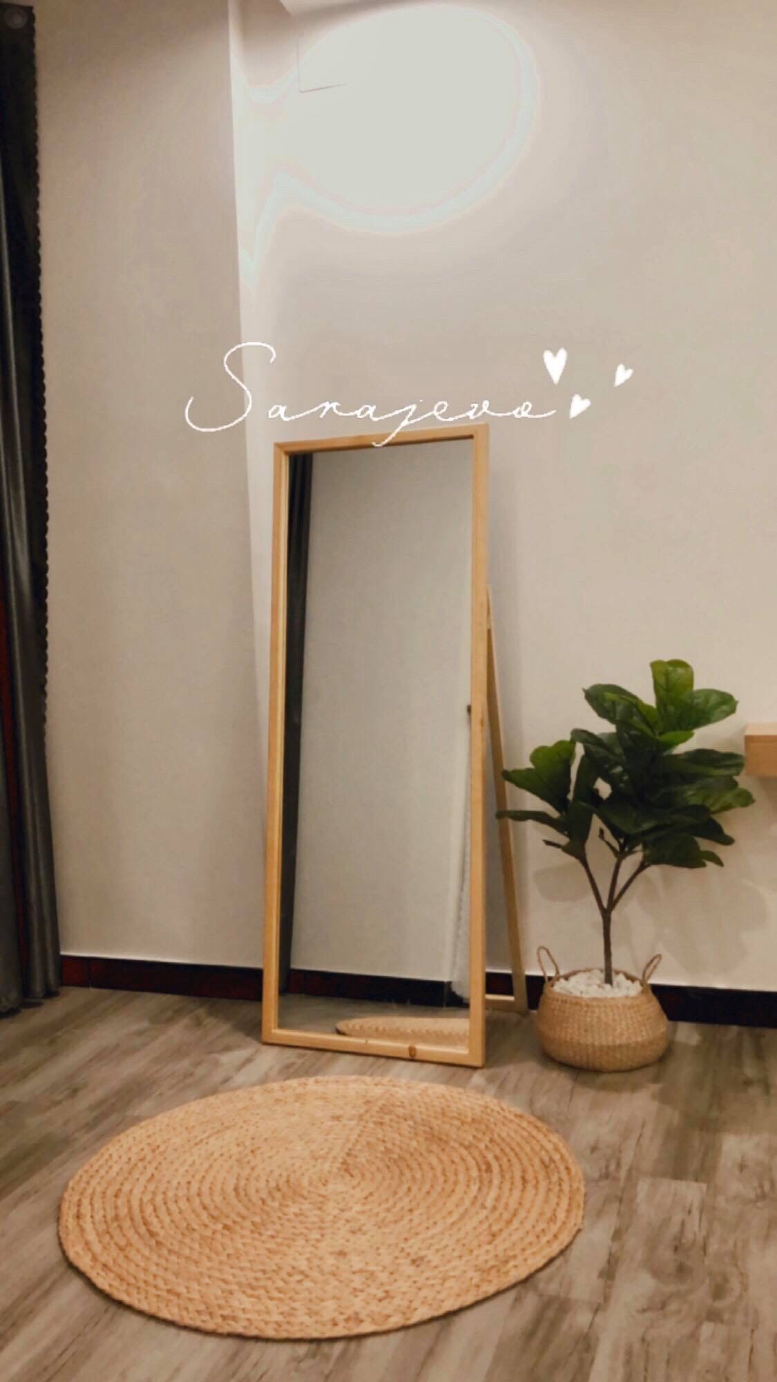 Combo cây bàng singapore kèm chậu giỏ