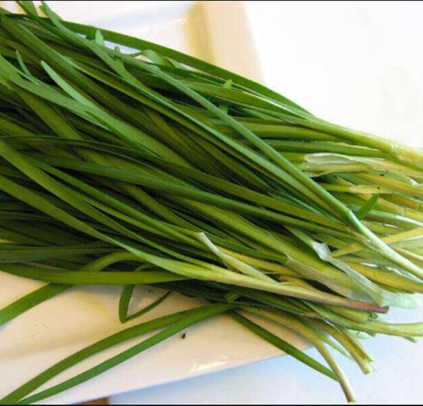 200 Hạt giống lá hẹ ta