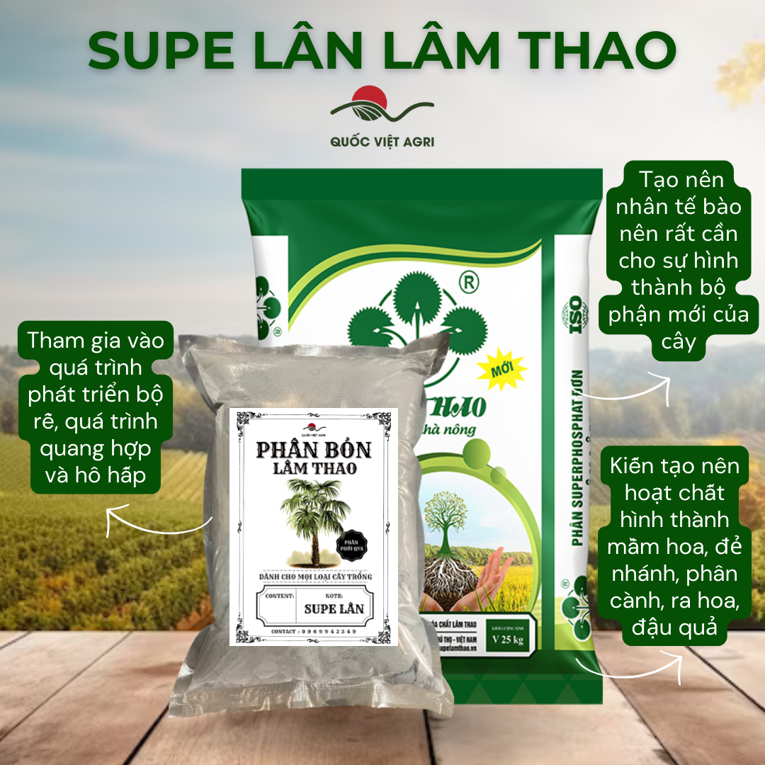 Phân bón lân lâm thao - supe lân -