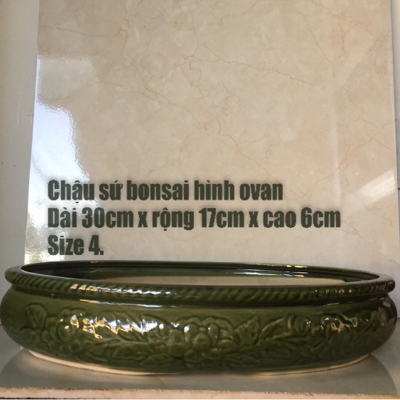 Chậu sứ bonsai hình ovan ( size 4)