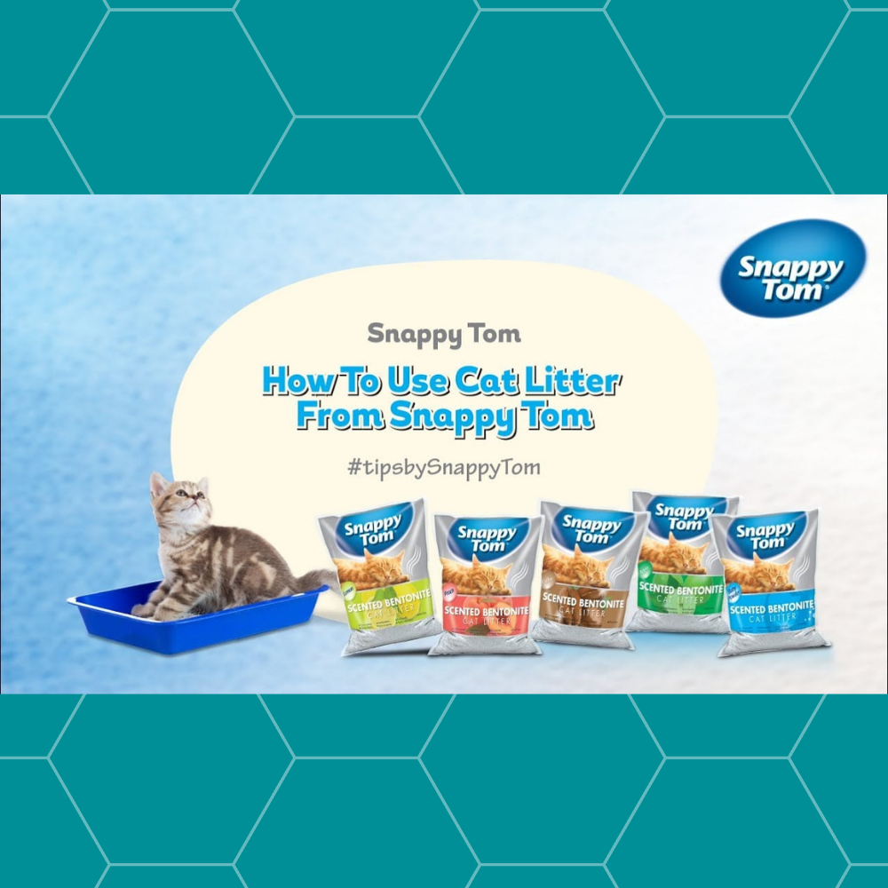 Cát vệ sinh Snappy Tom hương Đào túi 5 Lít