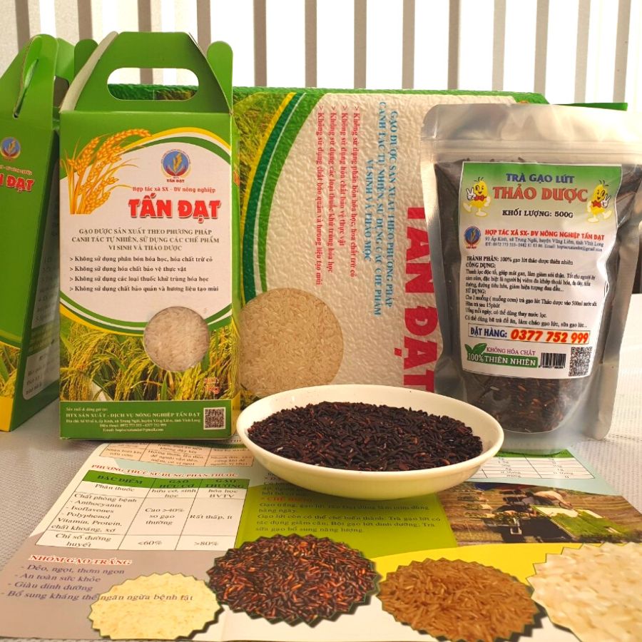 Gạo lứt tím thảo dược hữu cơ Tấn Đạt chuẩn USDA (không hộp, gạo rất dẻo, nhiều anthocyanin, vị đặc trưng)