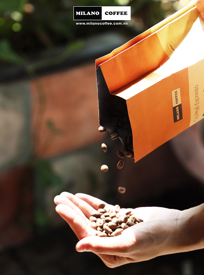Cà phê hạt nguyên chất Robusta Milano Coffee 250gr
