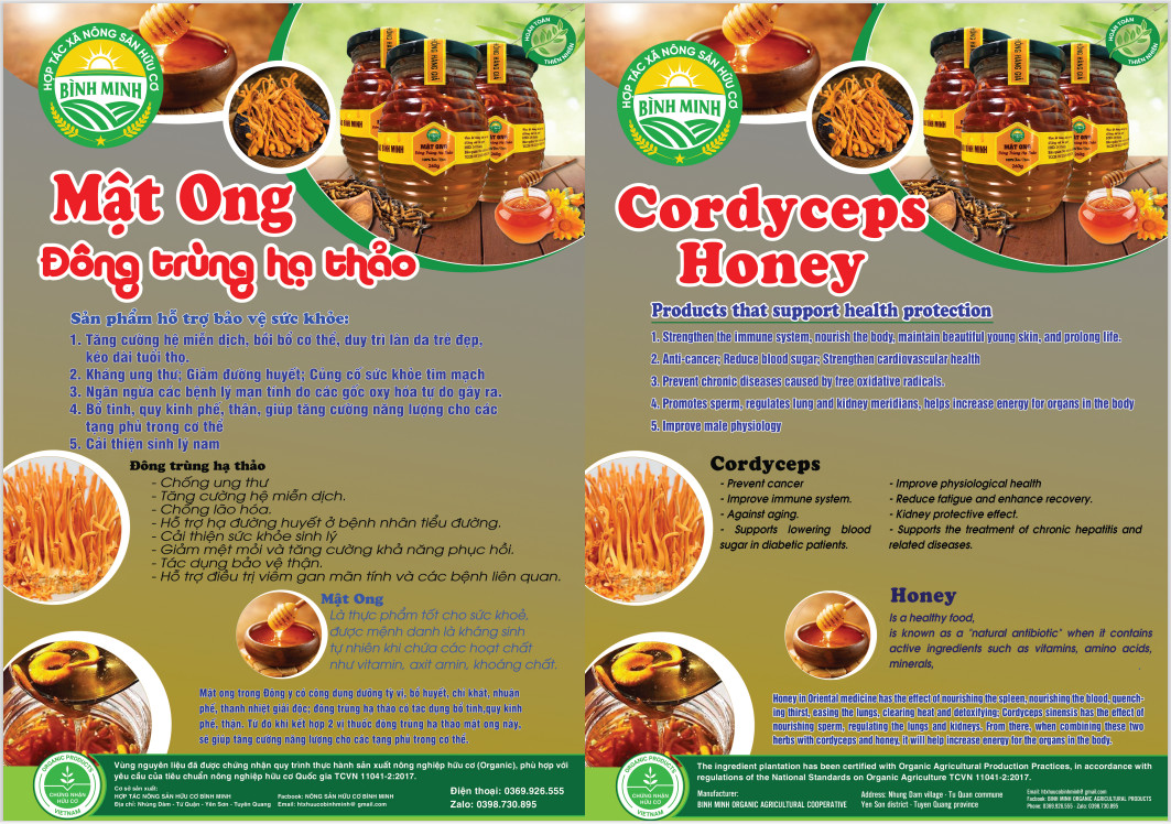 mật ong đông trùng hạ thảo BÌNH MINH