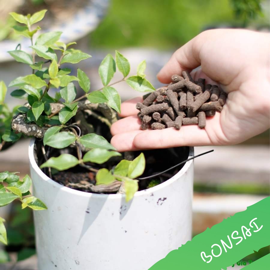 Phân trùn quế dạng viên nén 1kg -dùng bón cây