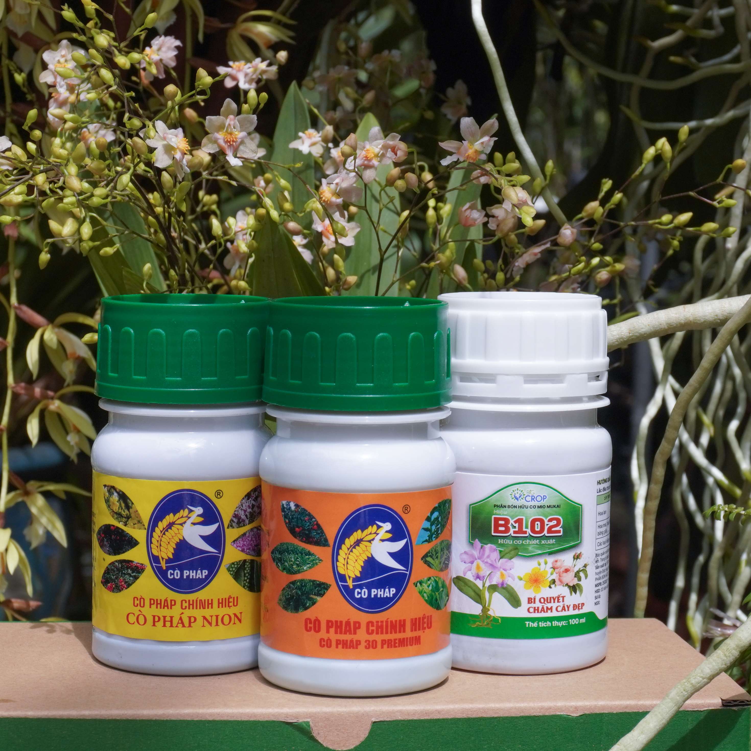 COMBO8 100 - Phân Bón Chăm Hoa Lan, Cây Cảnh Ở Mọi Giai Đoạn (100g/ml/chai)