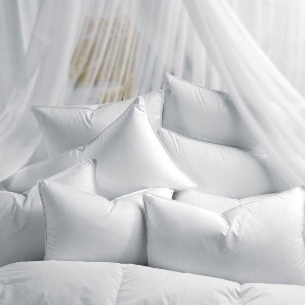 Ruột gối nằm poly cotton (45x65cm) và gối ôm size 35x1m