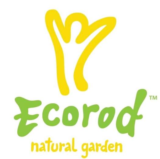Date T7.23 - Bột lúa mạch hữu cơ Ecorod 1kg Organic Rye Flour