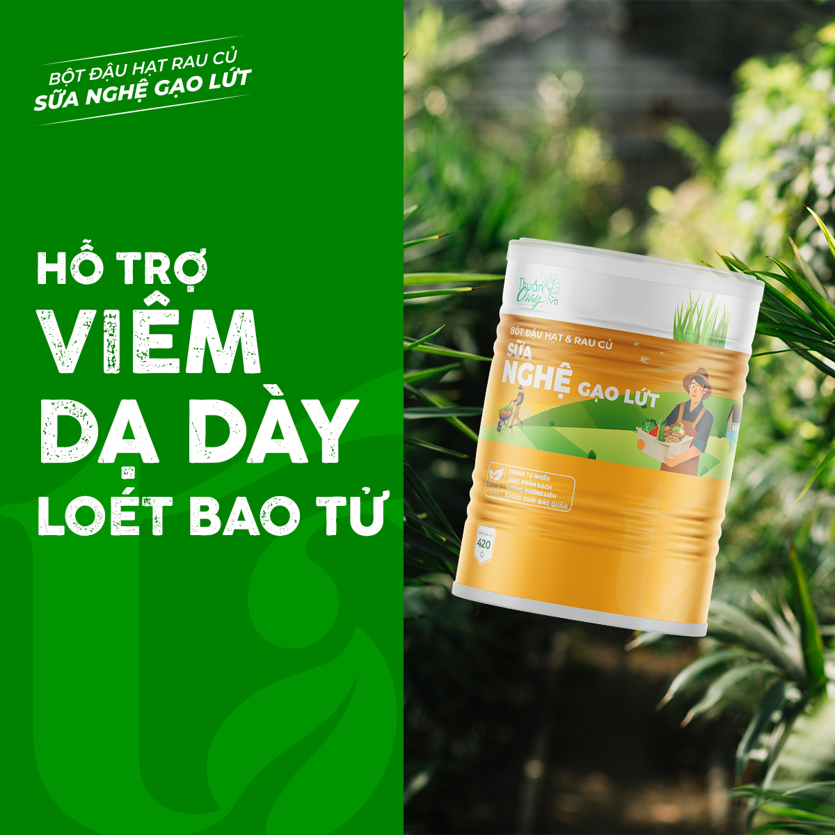 BỘT ĐẬU HẠT RAU CỦ NGHỆ GẠO LỨT - 420g