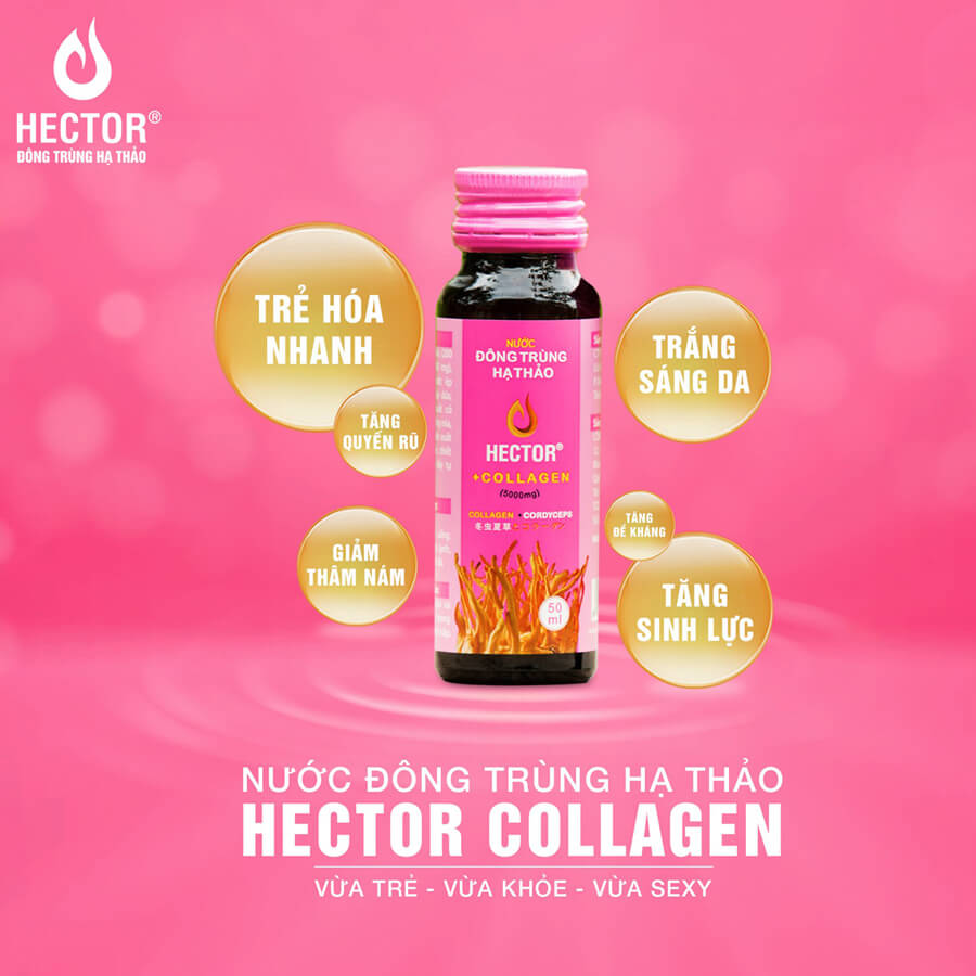 Hector Collagen đông trùng hạ thảo (Hộp 10 lọ x 50ml)