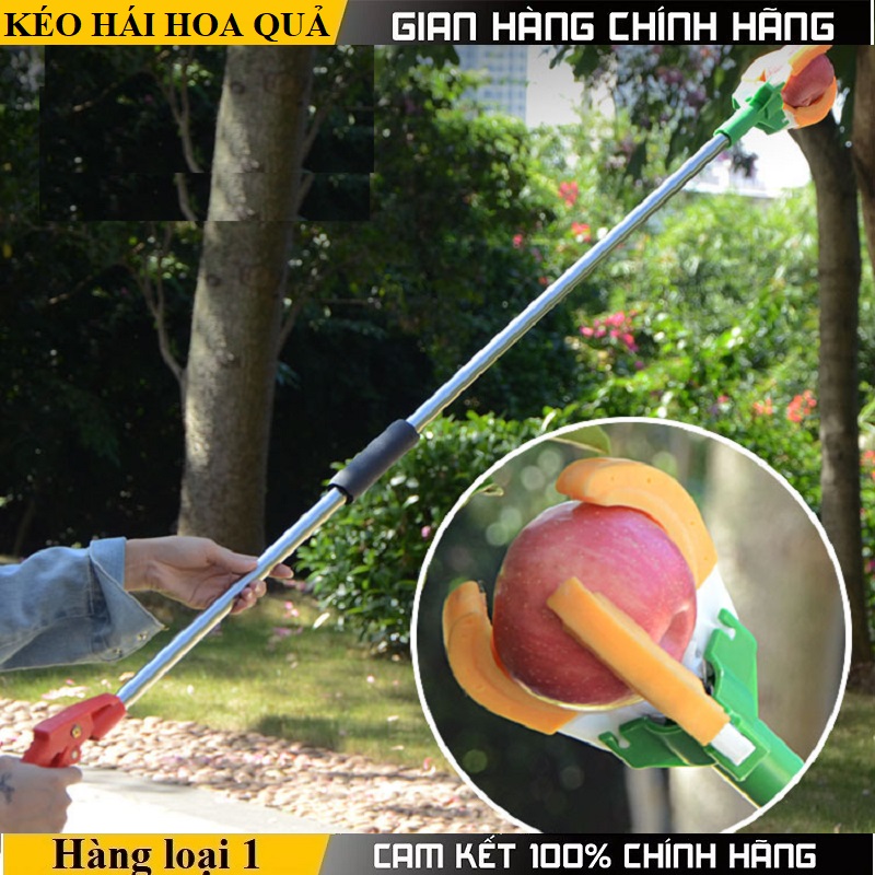Dụng cụ thu hoạch trái cây