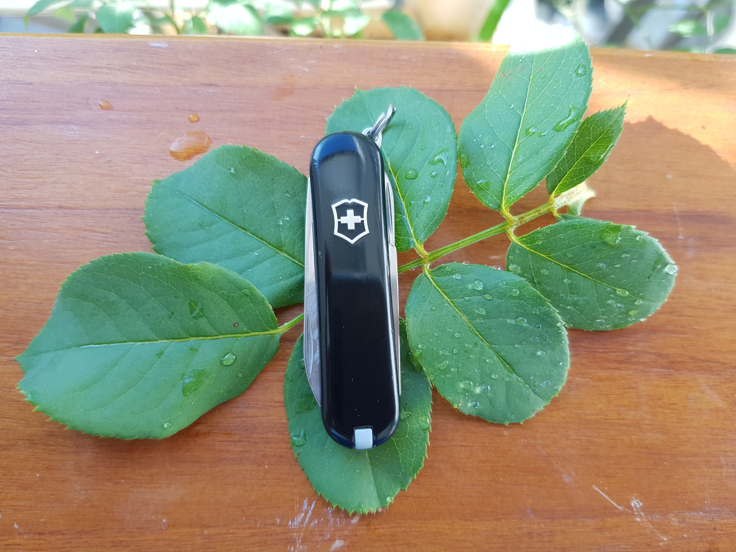 [HCM]Dụng Cụ Đa Năng Victorinox Thụy Sĩ (Classic)