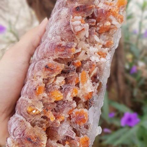 [GIAO NHANH 2H HCM] Giá Sỉ 1Kg Tôm Tít Gạch