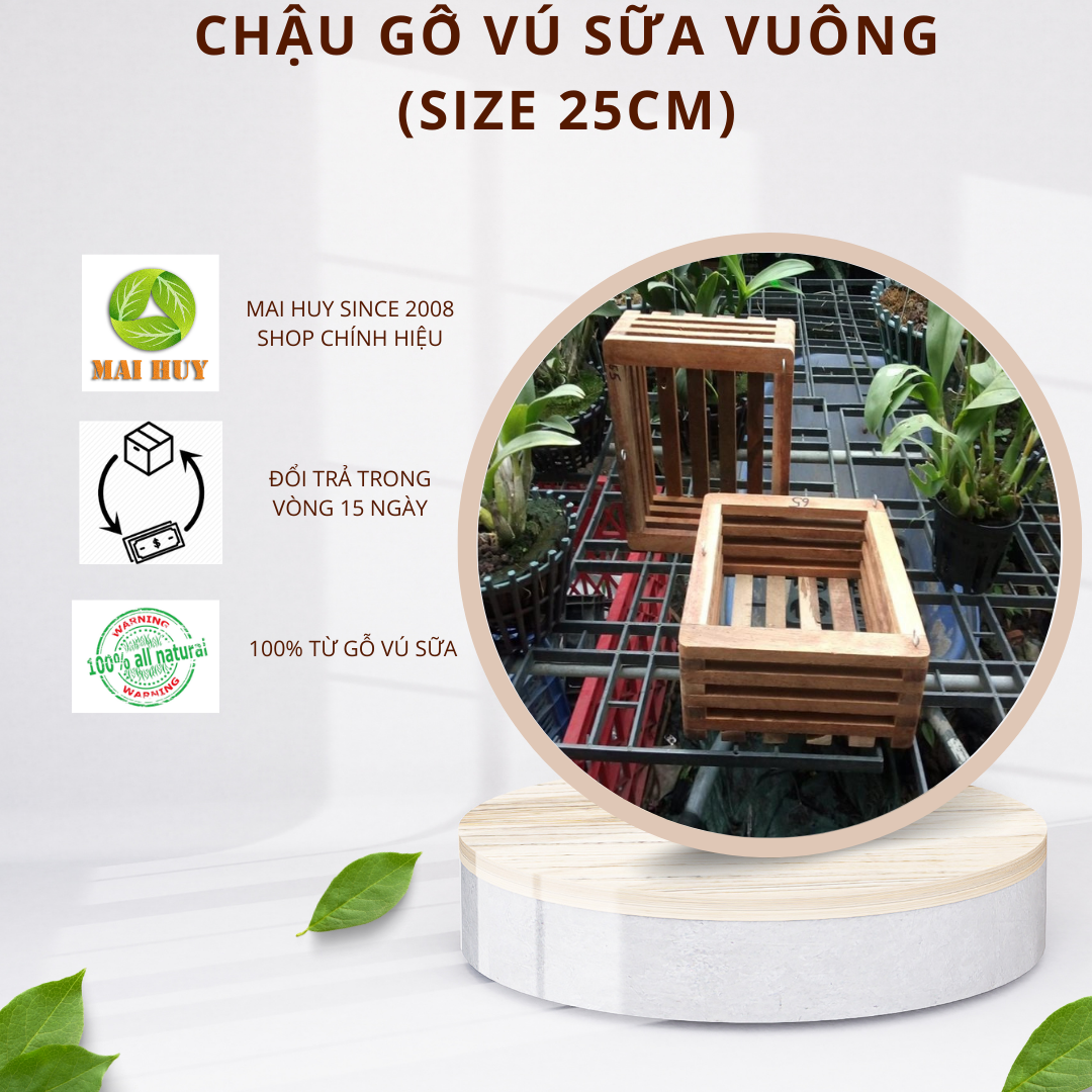 Chậu gỗ vú sữa vuông nhiều size - msp :1606132030 - trồng lan rất tiện lợi và lâu dài -mai huy