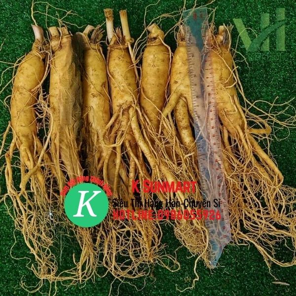 K Sunmart-CỦ SÂM TƯƠI HÀN QUỐC (1kg/8-9 Củ)