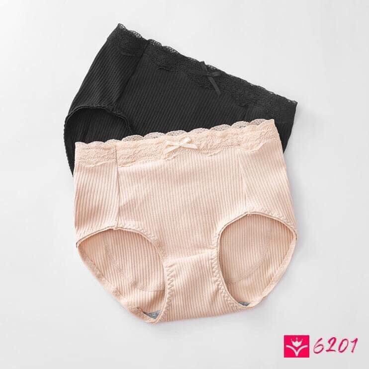 Quần độn mông cotton Nhật 6201