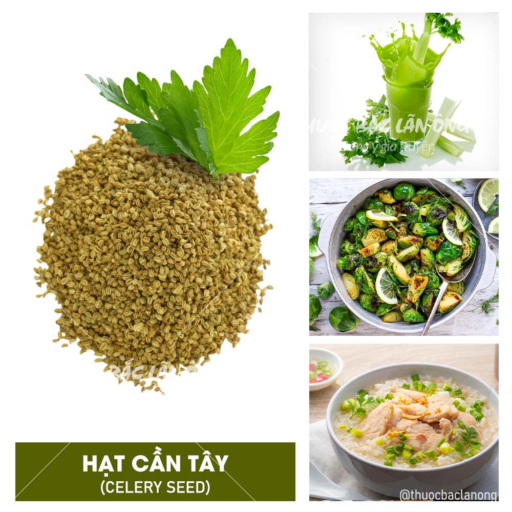 Lá húng quế tây khô 100g (Lá Basil nguyên liệu món Âu chuẩn vị) - Lãn Ông