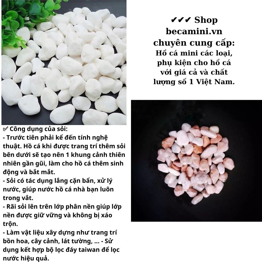 Sỏi hồ cá ( Chon Màu ) , Sỏi trang trí bể cá 1KG
