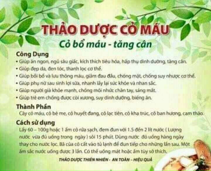 CỎ MÁU / CỎ MÁU TĂNG CÂN / CỎ BỔ MÁU,TĂNG CÂN (GÓI 1KG)