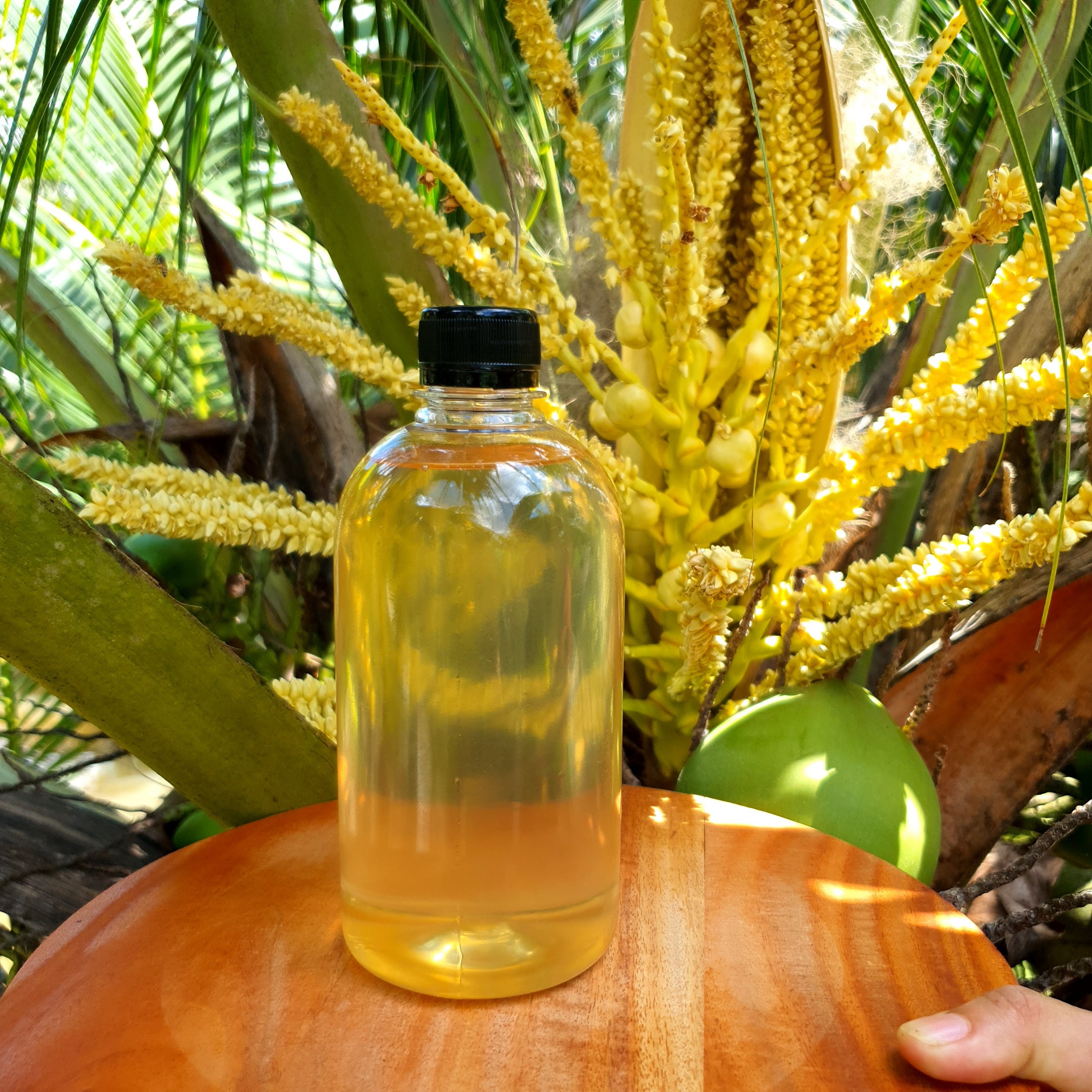 [Bến tre] Dầu Dừa Nấu Thủ Công Nhà Làm Chai 500ml
