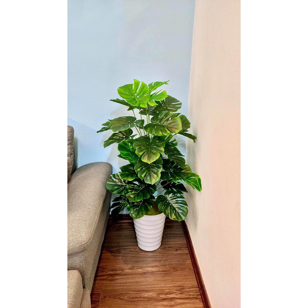 [Mã SKAMLSC228 giảm 10% đơn 100K] Cây giả cây trầu bà lá xẻ decor