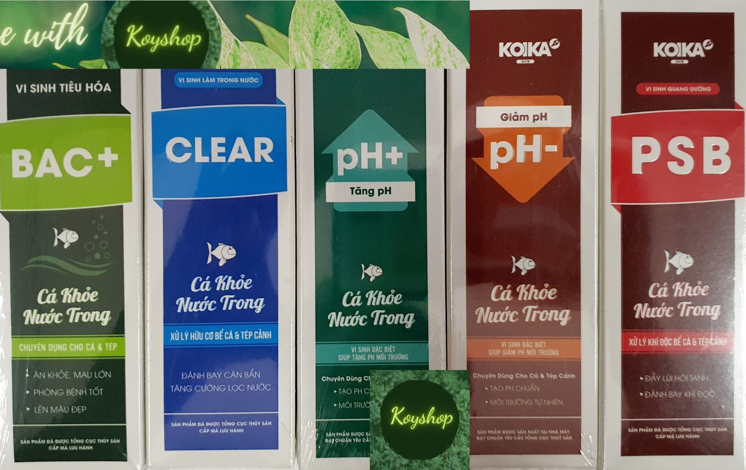 Vi Sinh Tiêu Hóa BAC+ giúp khỏe, kích màu, tốt tiêu hóa và các sản phẩm của KOIKA Cá khỏe nước trong