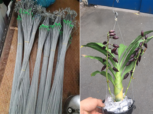 10 Móc Treo Chậu Bằng Kẽm 80CM