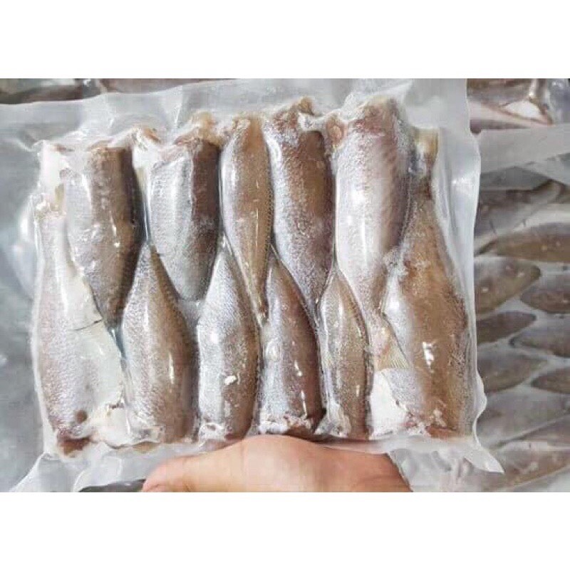 Cá đù 1 năng size lớn
