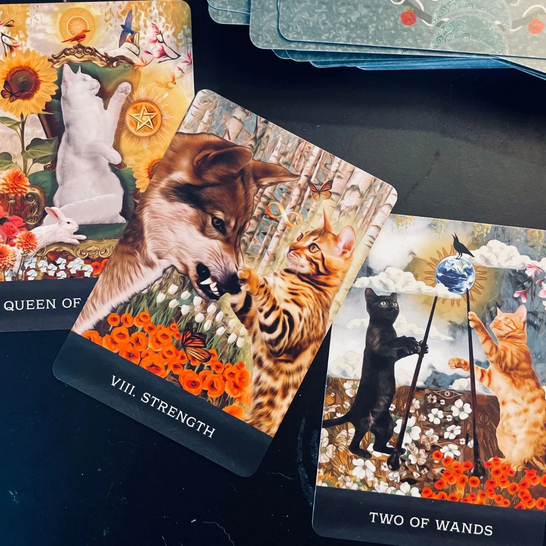 Bài Grimalkin's Curious Cats Tarot