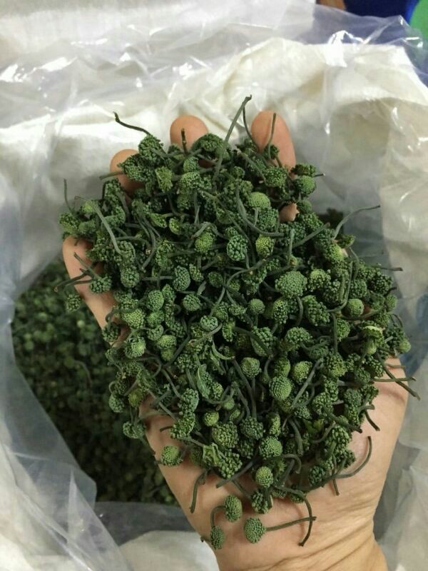 150g nụ tam thất