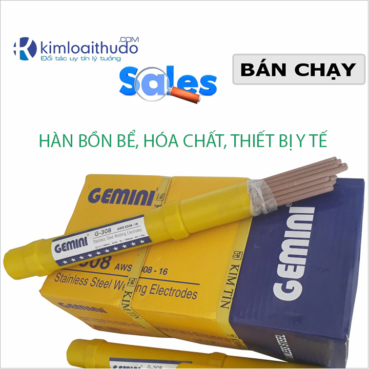 Combo 5 que hàn Inox G-308 Gemini phi 3.2mm