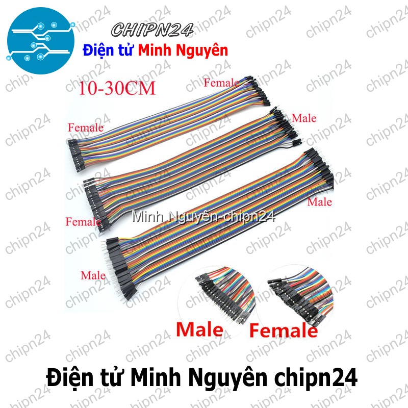 [20 sợi] (P71) Dây Cắm Test Board 30cm Đực-Đực - HH001155