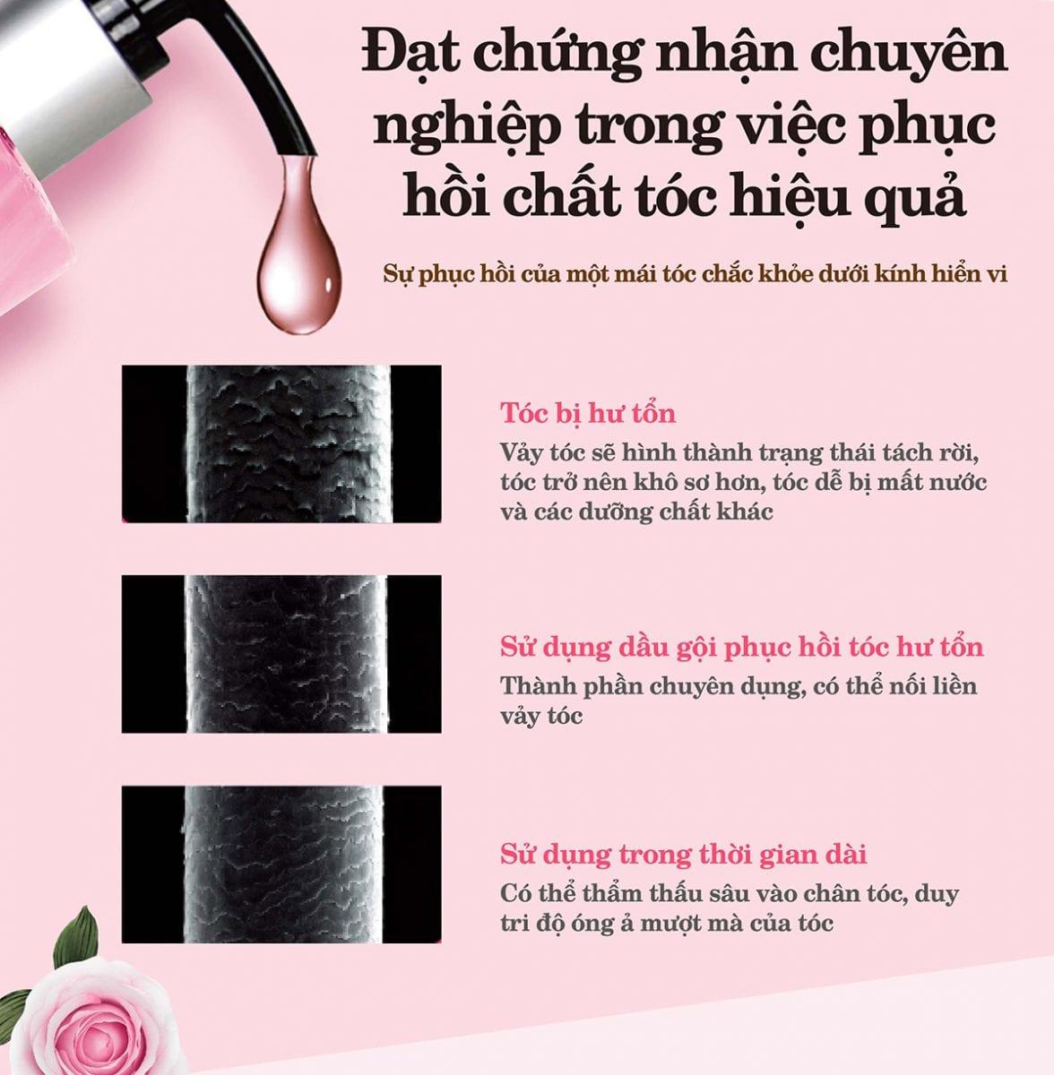 Dầu Gội Phục Hồi Tóc Hư Tổn Parco 400ml