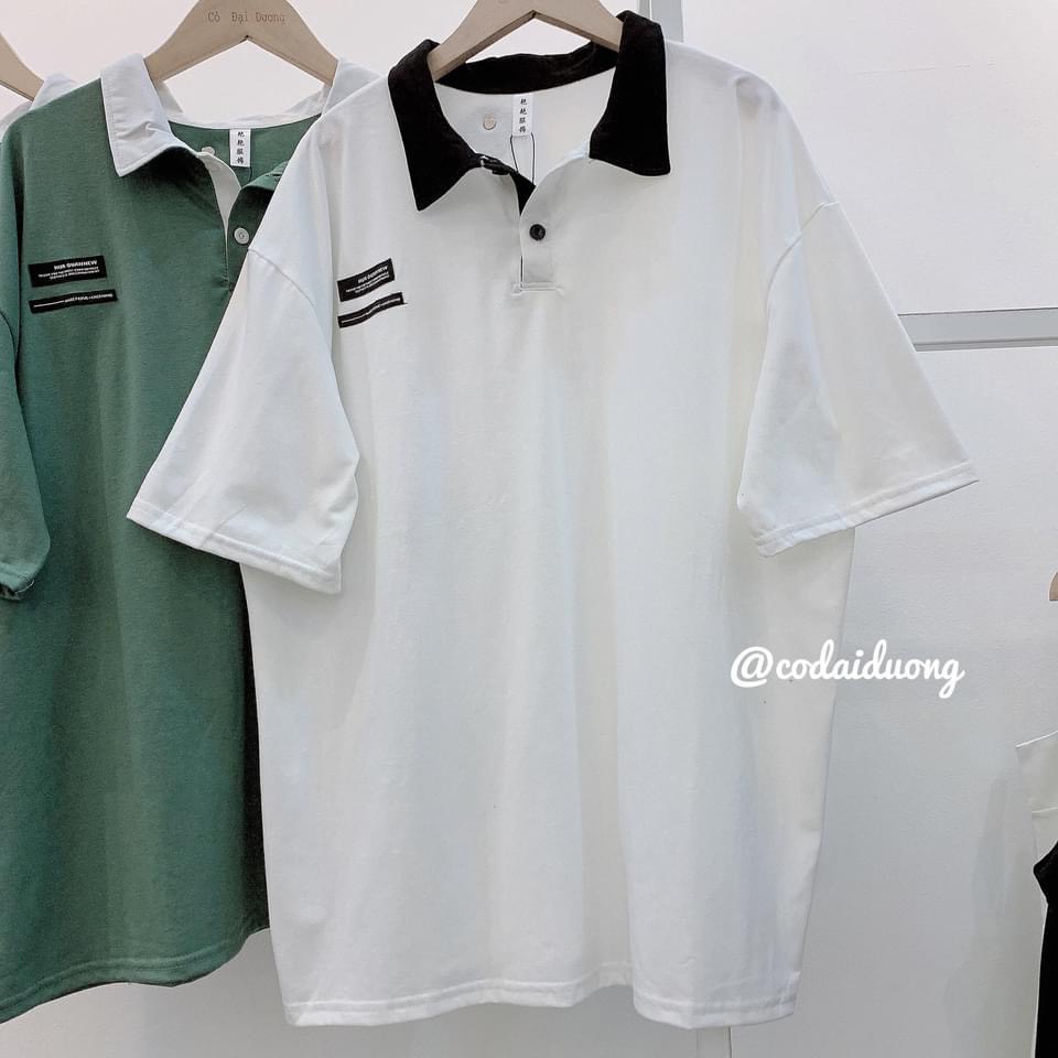 Aó POLO Trơn Cổ Cách Điệu From Rộng