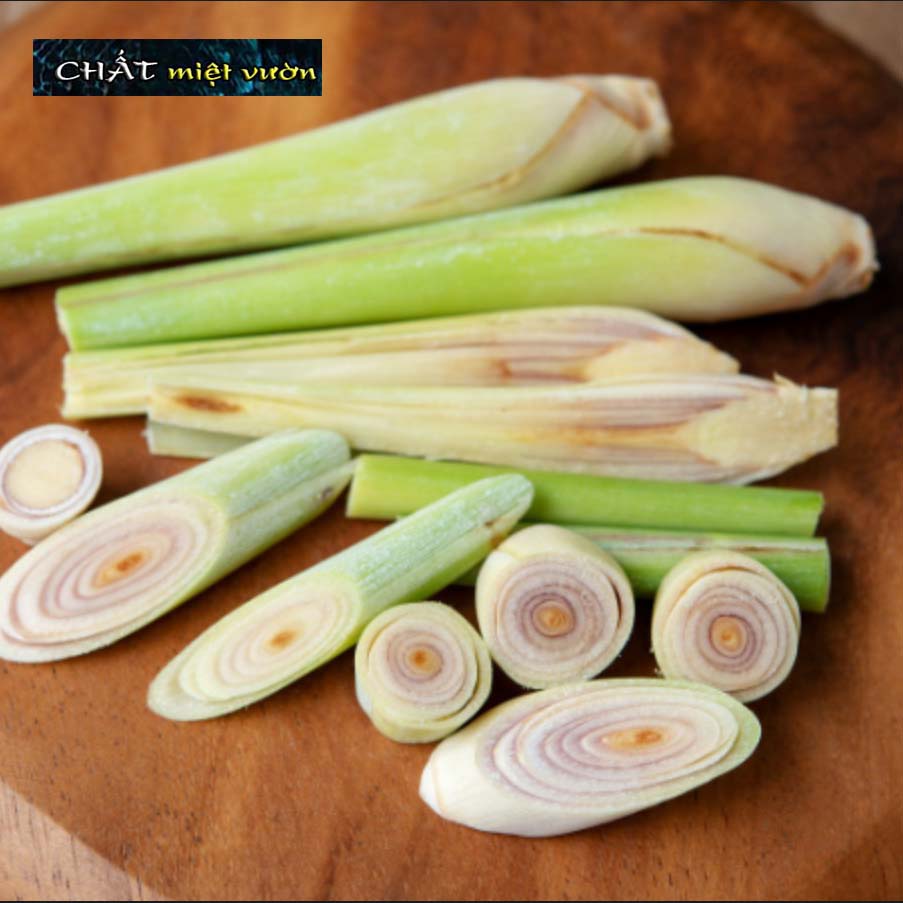 Cây Sả giống