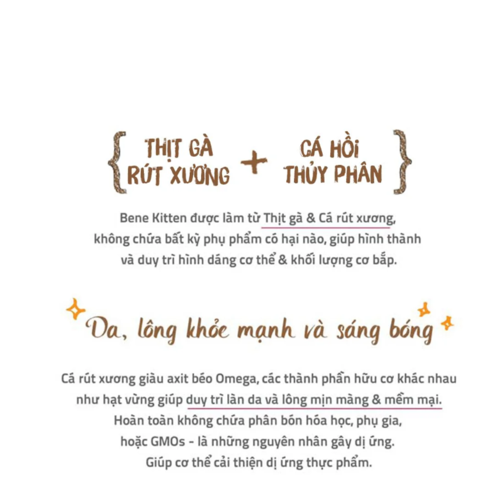 [400gr] Thức ăn cho mèo Natural core kitten C1
